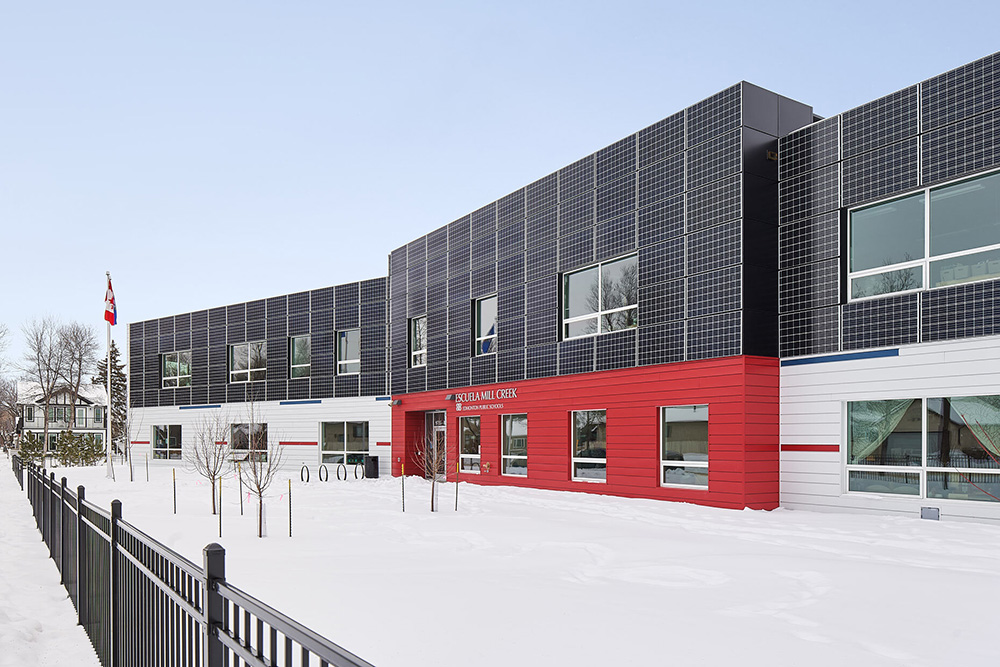 鶯 ôEscuela Mill Creek˫ѧУ