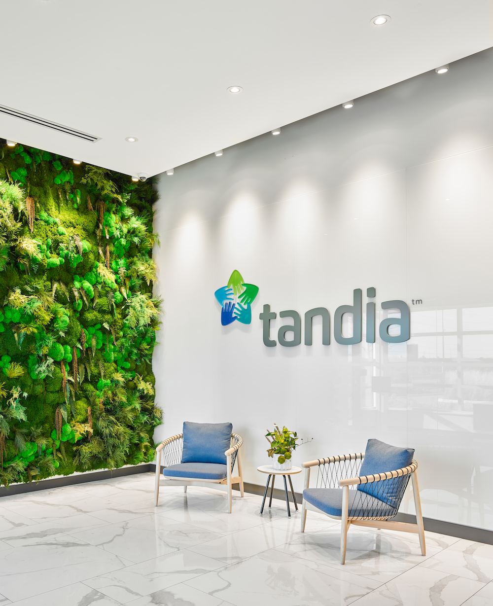  ڹ˾Tandia Financialôٰ칫
