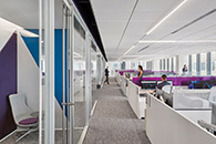 百年护肤集团Beiersdorf美国总部 百年护肤集团Beiersdorf美国总部