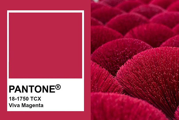 Pantone2023ɫǷViva Magenta