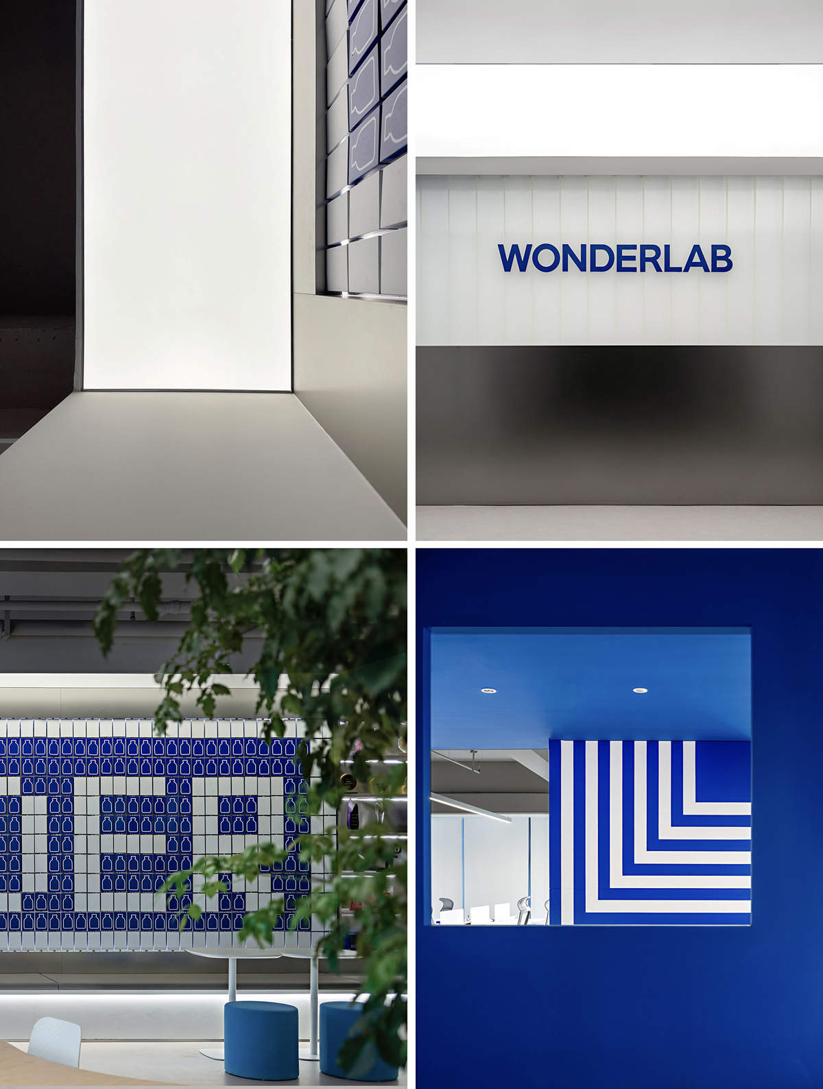 һɫԼ ӪƷWonderlabڰ칫ռ
