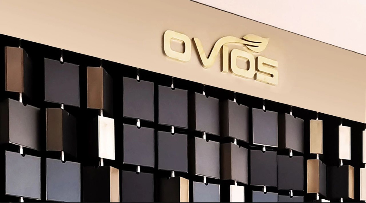 OVIOSȫܲģȫ˼SӪδ칫̬