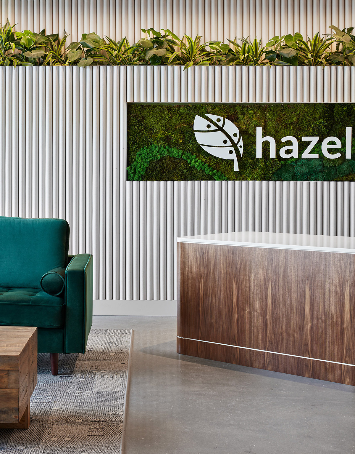 HazelƼ֥ӸܲͰ칫¥ʵ˼·