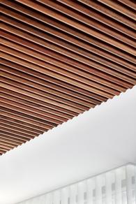 DecorϤ칫
