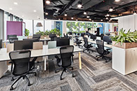 JobStreet¼°칫 Ű칫