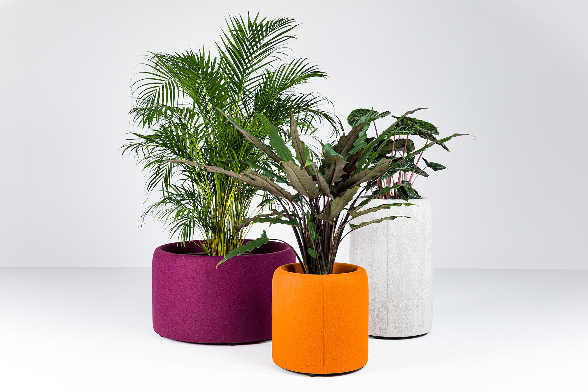 Comet Yxlon�����칫�ң����������ҵ�Ļ�����