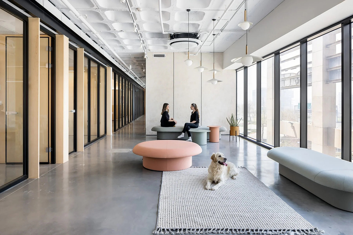 �ƿ���ƽ̨Wix�����ܲ������������İ칫��̬���