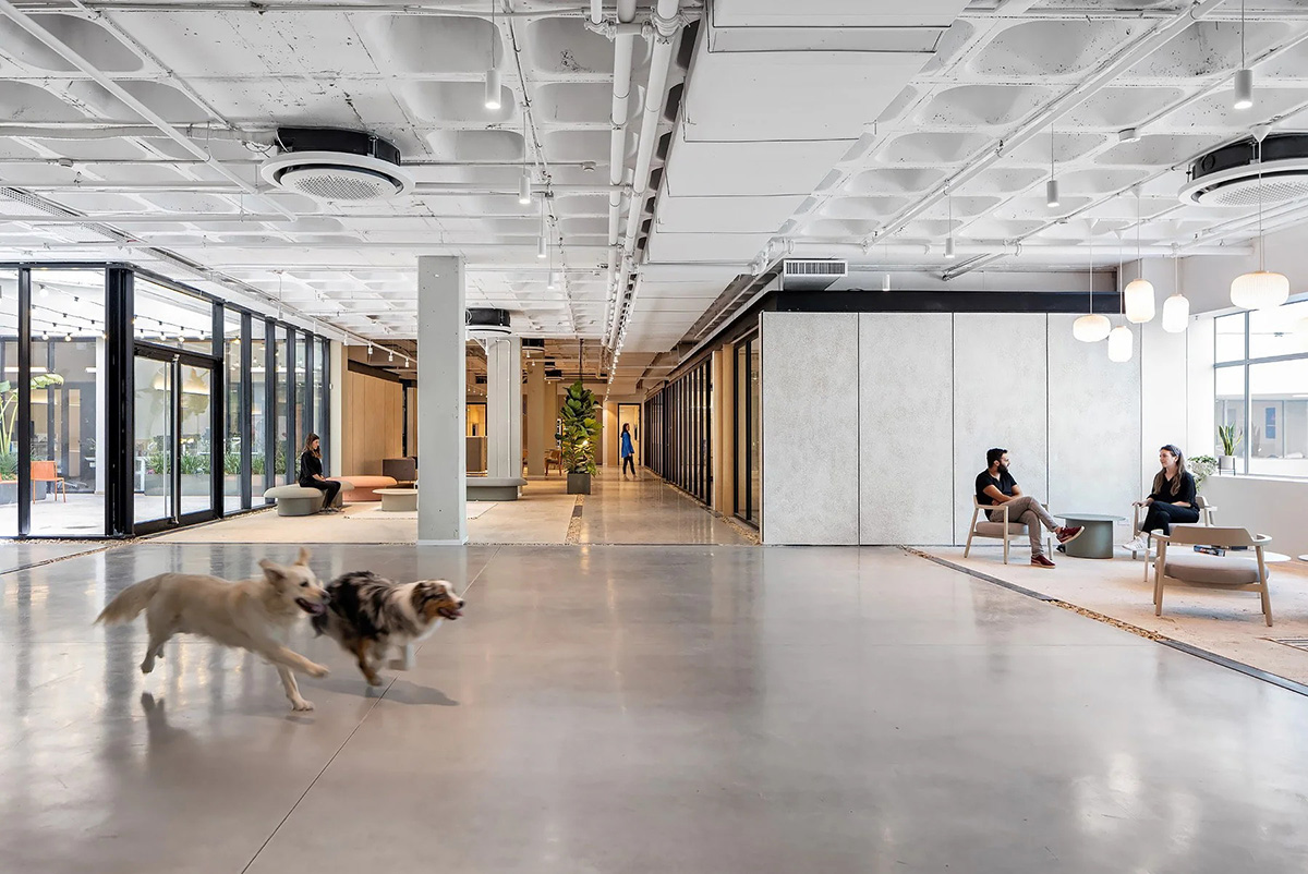 �ƿ���ƽ̨Wix�����ܲ������������İ칫��̬���