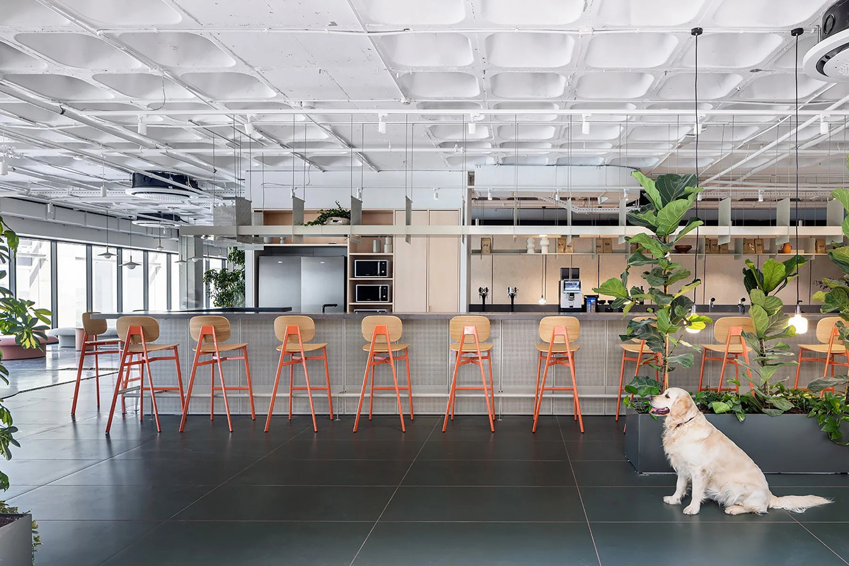 �ƿ���ƽ̨Wix�����ܲ������������İ칫��̬���