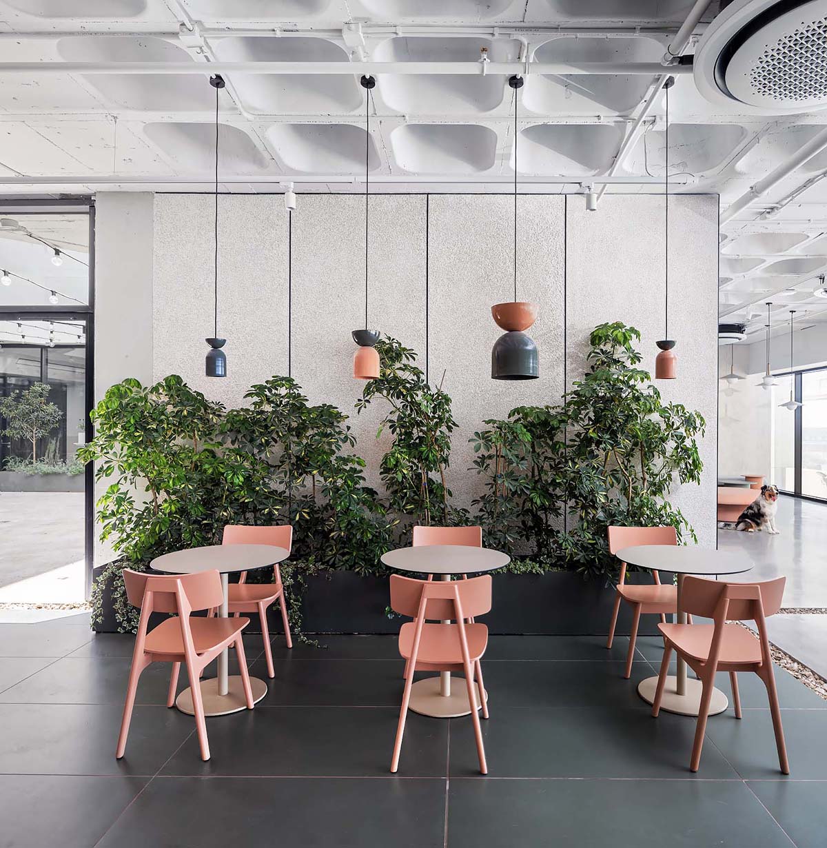 �ƿ���ƽ̨Wix�����ܲ������������İ칫��̬���