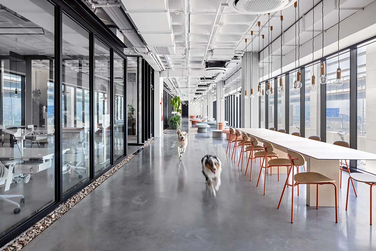 �ƿ���ƽ̨Wix�����ܲ������������İ칫��̬���