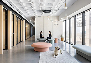 �ƿ���ƽ̨Wix�����ܲ������������İ칫��̬���