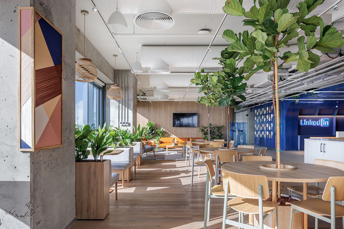 LinkedIn����ά���ܲ���ģ�鸳�ܣ�ī��֮��