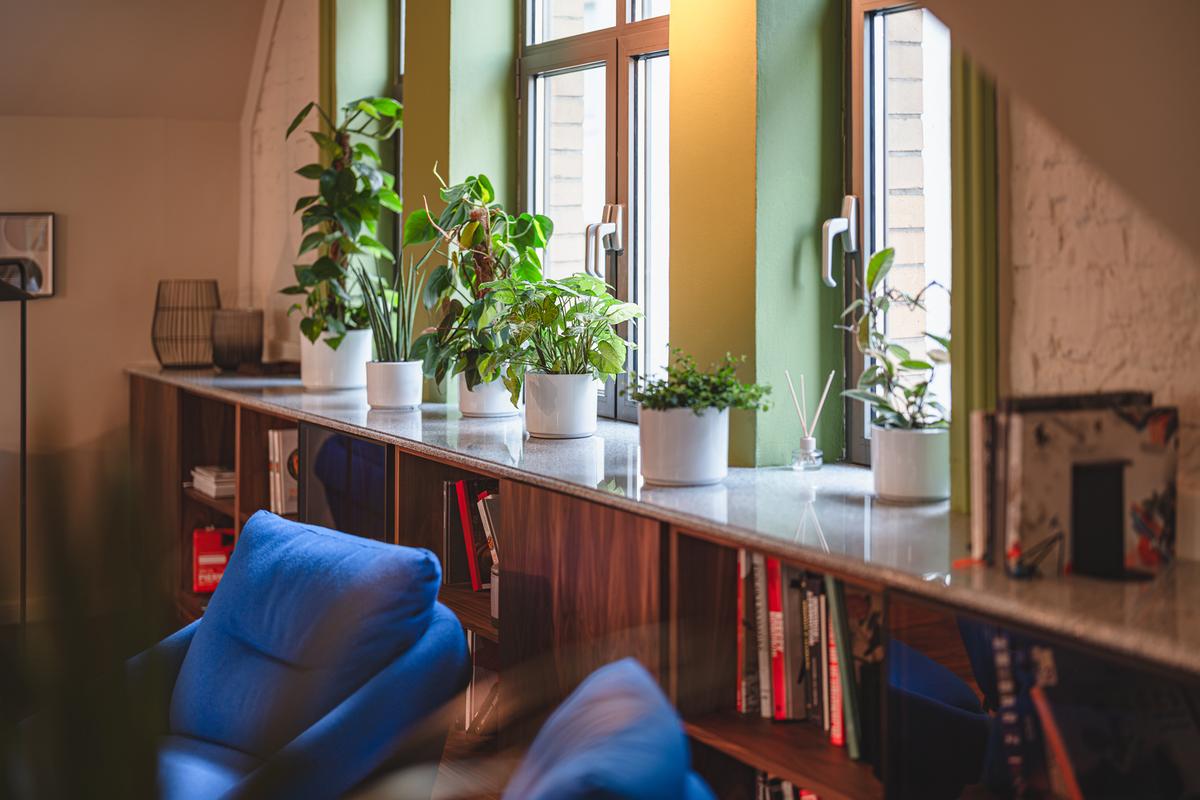 ����Concordia���ϰ칫���ɳ����Ǹ��߽׵Ŀռ�������