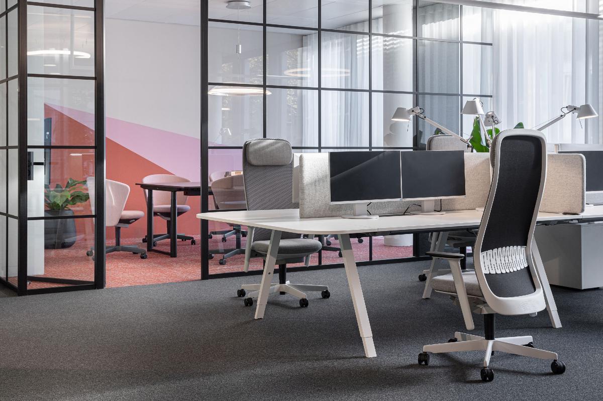 Bene�¹���¡չ��