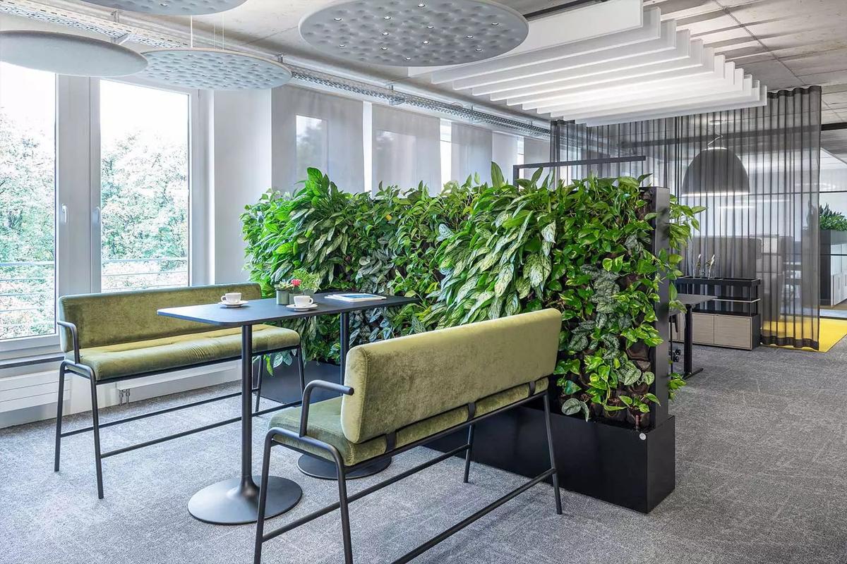 Bene�¹�Ľ���չ��