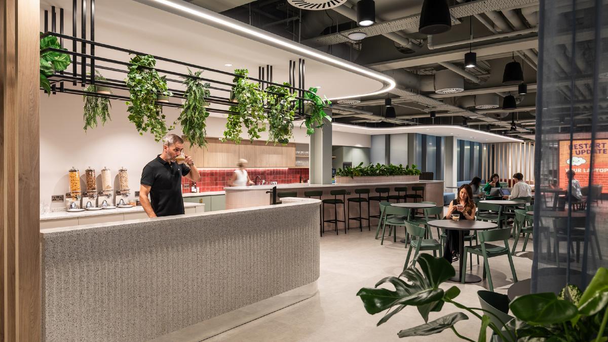 ��ѯ��˾Headland�׶��ܲ���������Ϊ�ˣ���δ��֮��