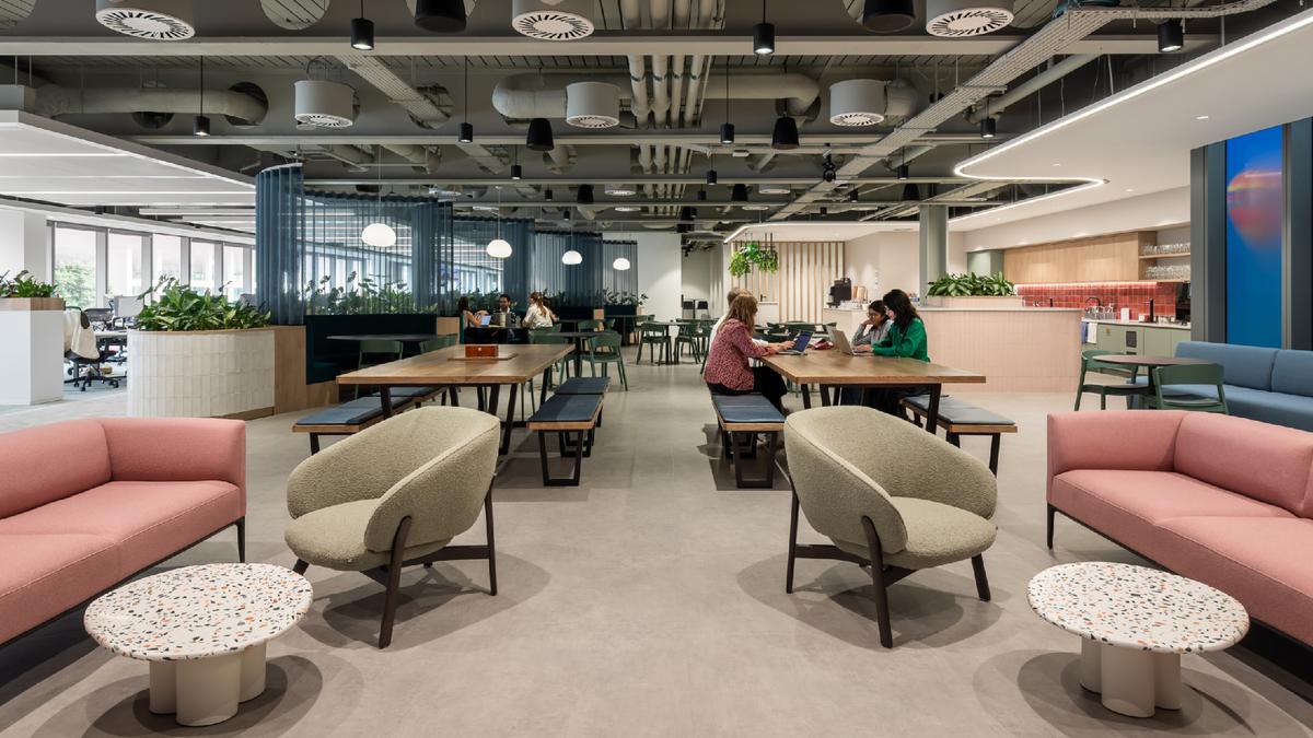 ��ѯ��˾Headland�׶��ܲ���������Ϊ�ˣ���δ��֮��