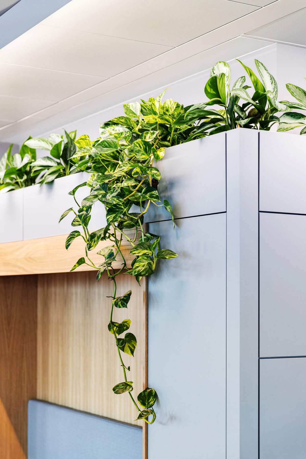 ˽ļͶ��Ardian�����˸���������Ȼ�鶯�ĸ߶��칫��ѧ