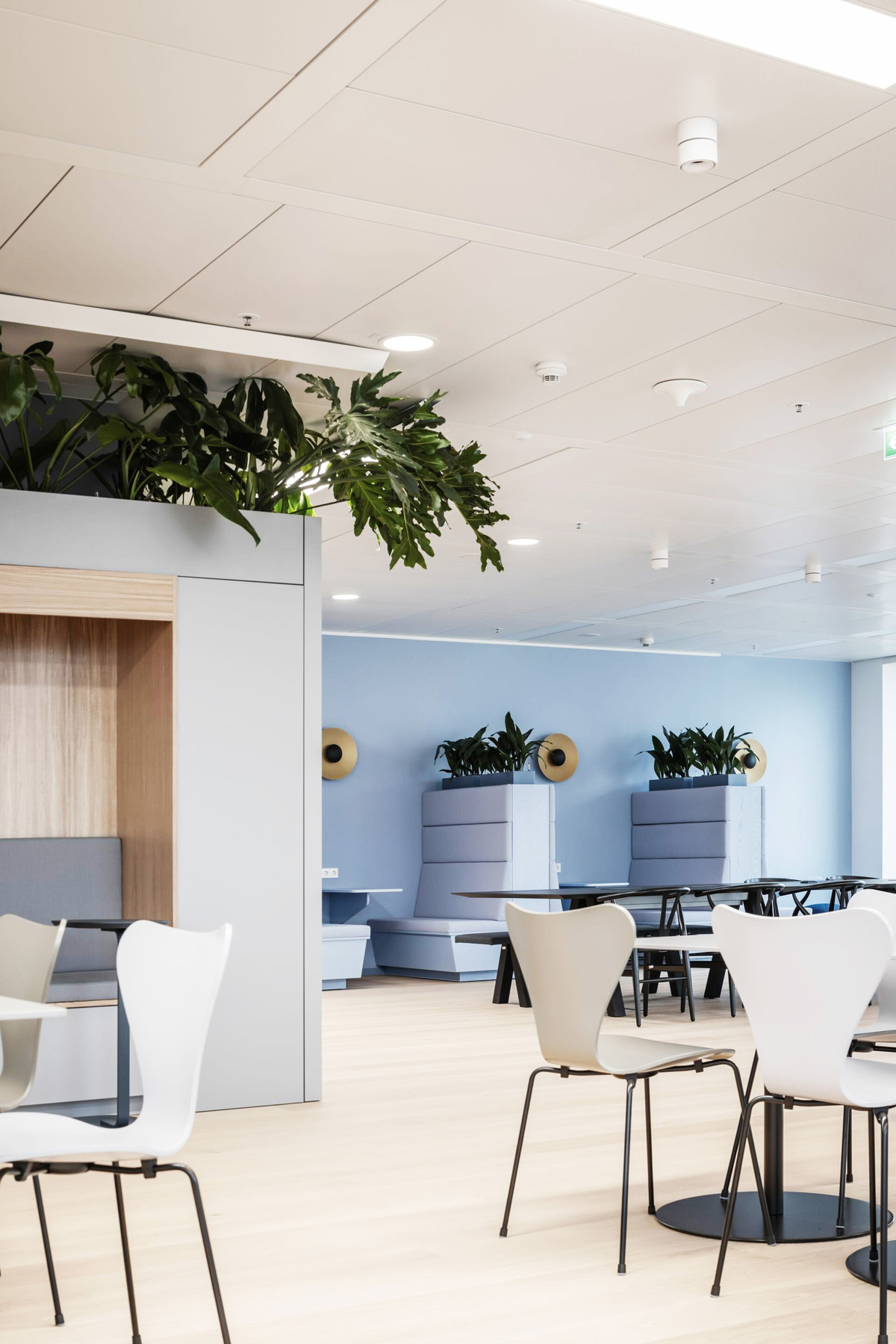 ˽ļͶ��Ardian�����˸���������Ȼ�鶯�ĸ߶��칫��ѧ