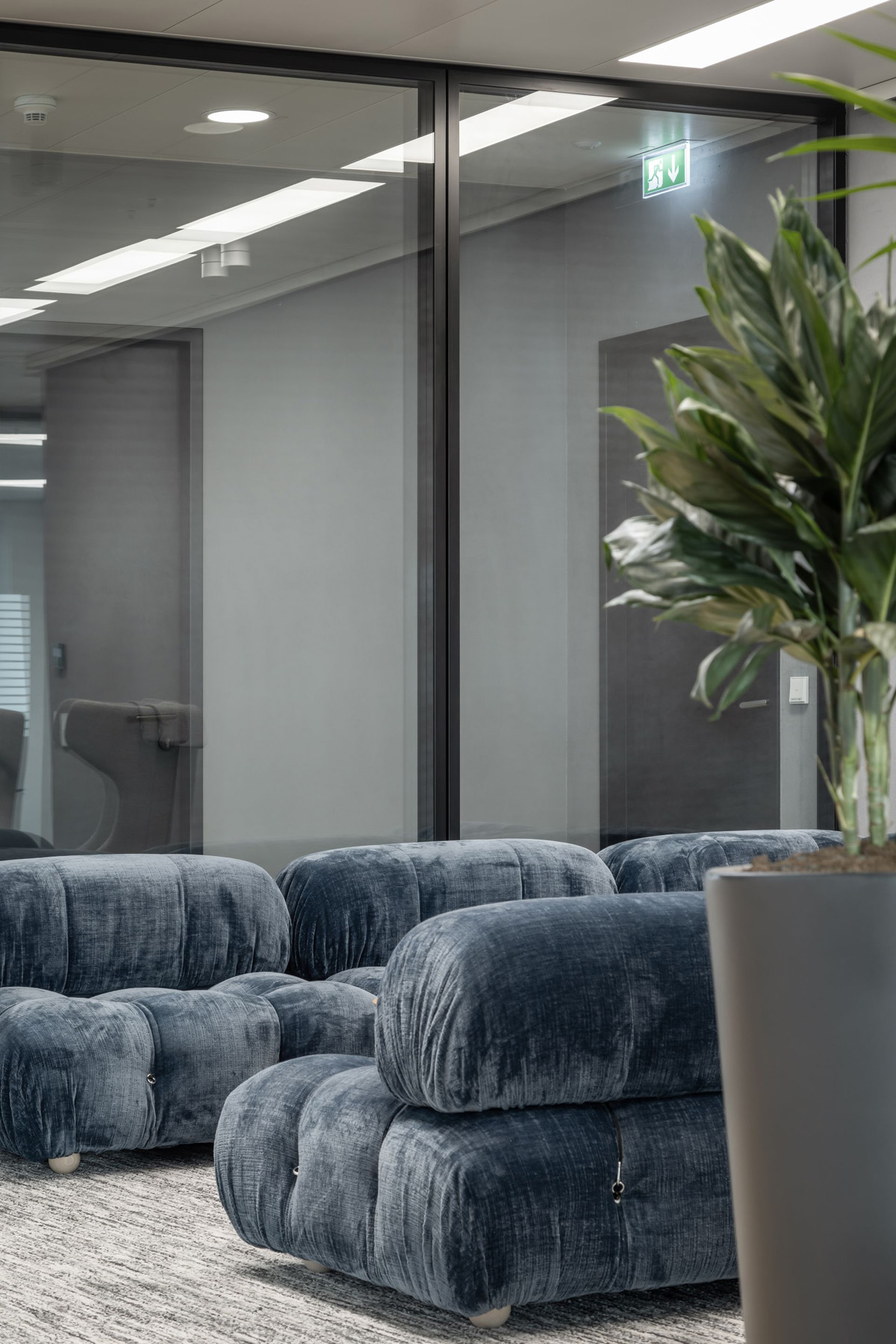 ˽ļͶ��Ardian�����˸���������Ȼ�鶯�ĸ߶��칫��ѧ