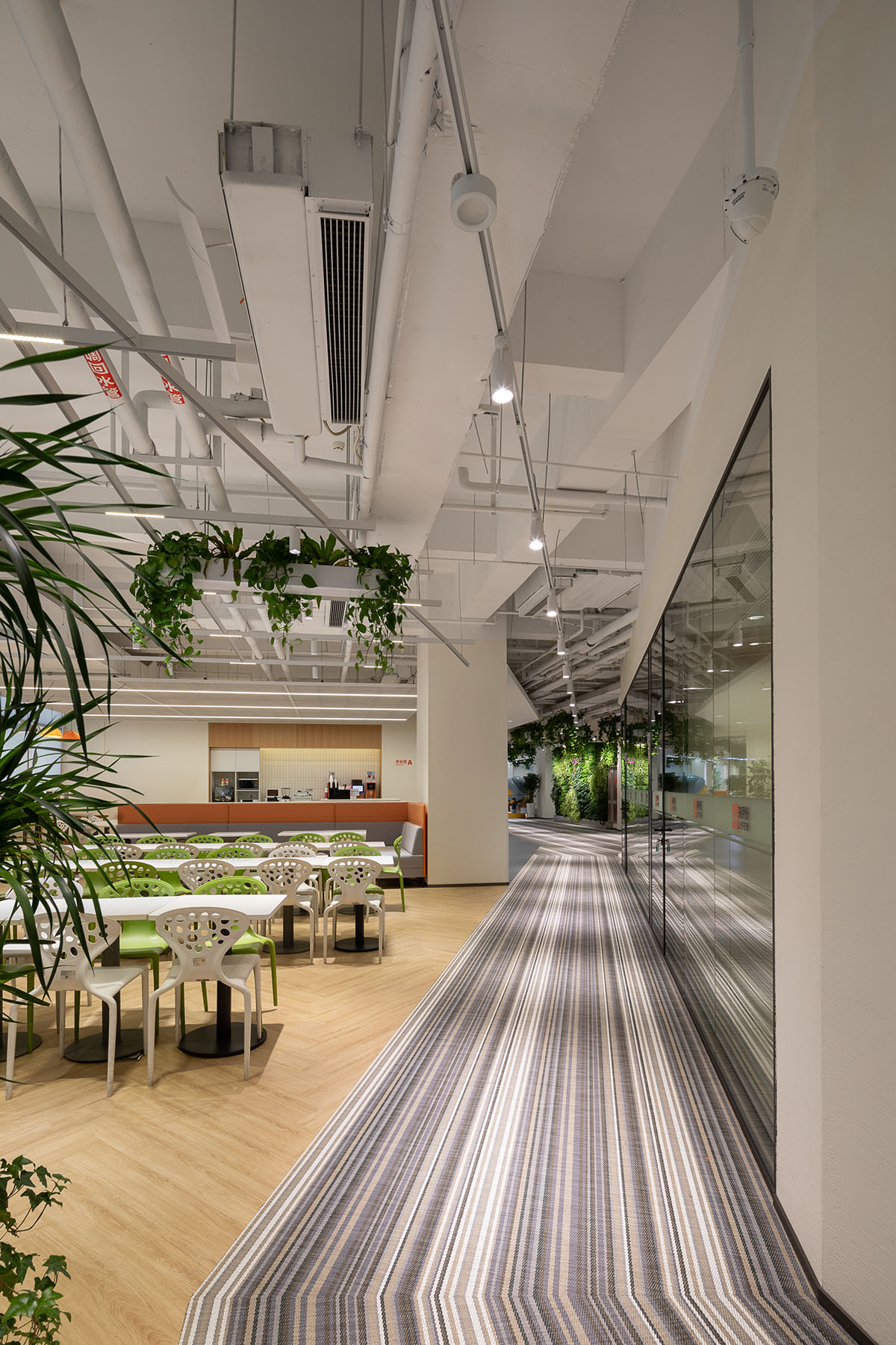 ��������ҵ�����ܲ�������Ϊ����ɭϵ��԰