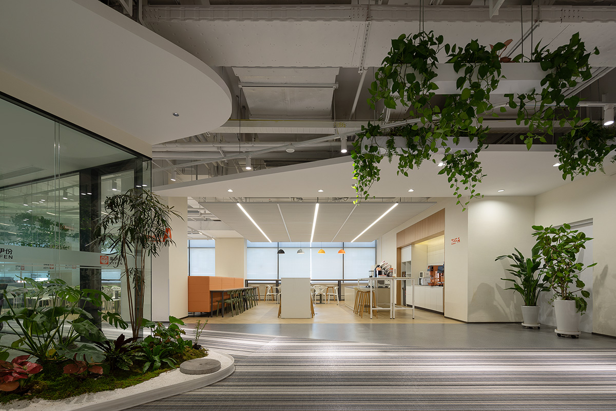 ��������ҵ�����ܲ�������Ϊ����ɭϵ��԰