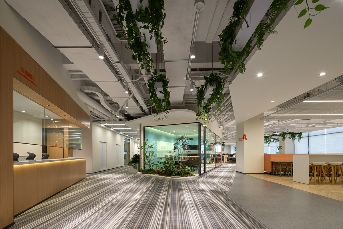 ��������ҵ�����ܲ�������Ϊ����ɭϵ��԰