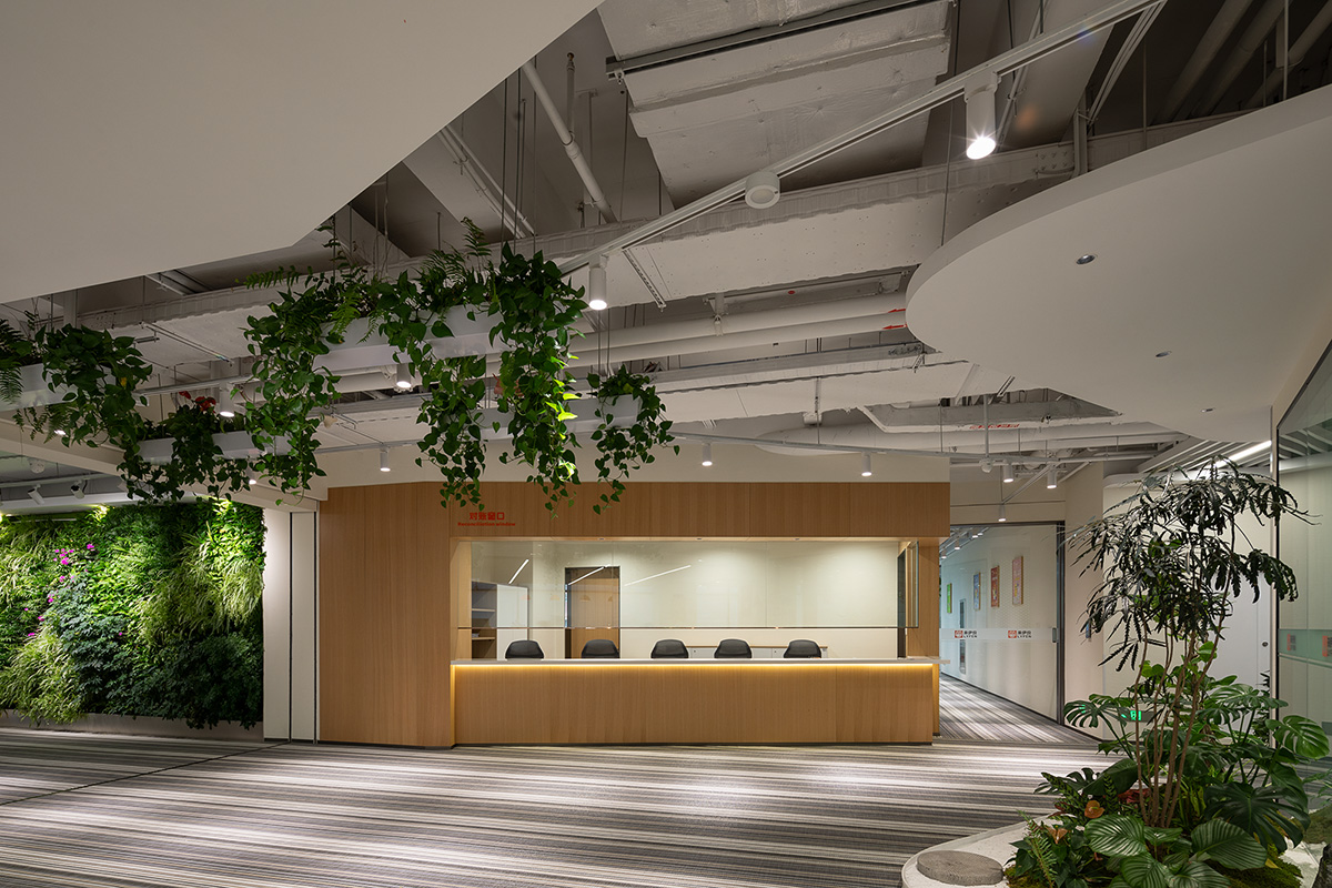 ��������ҵ�����ܲ�������Ϊ����ɭϵ��԰