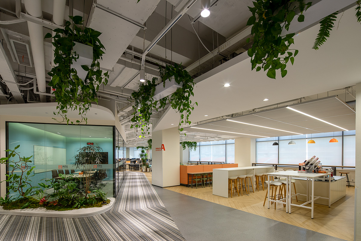 ��������ҵ�����ܲ�������Ϊ����ɭϵ��԰