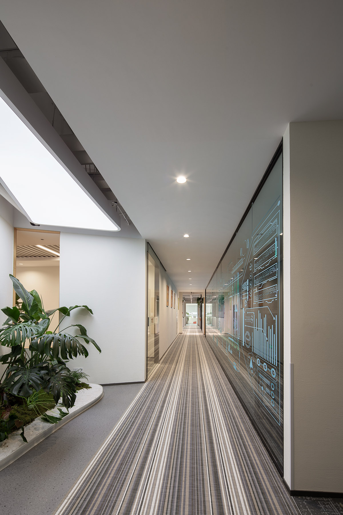 ��������ҵ�����ܲ�������Ϊ����ɭϵ��԰