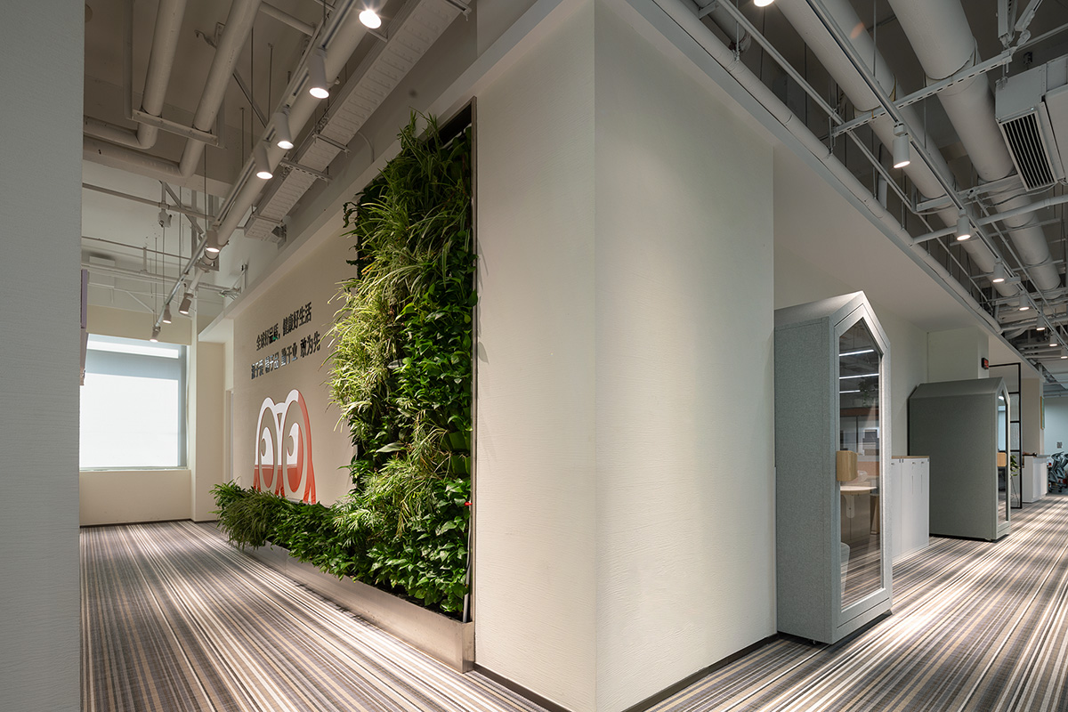 ��������ҵ�����ܲ�������Ϊ����ɭϵ��԰