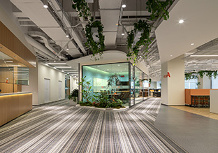 ��������ҵ�����ܲ�������Ϊ����ɭϵ��԰