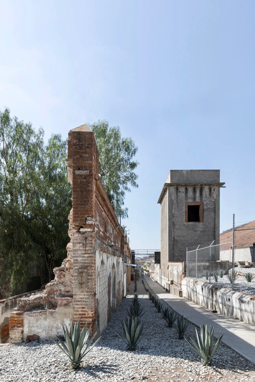 ī����Leonali�칫¥���Ͻ�����ѭ��������