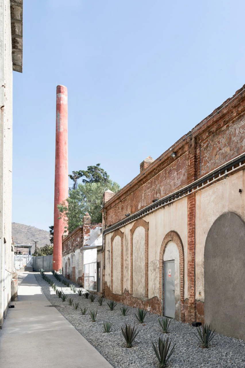 ī����Leonali�칫¥���Ͻ�����ѭ��������