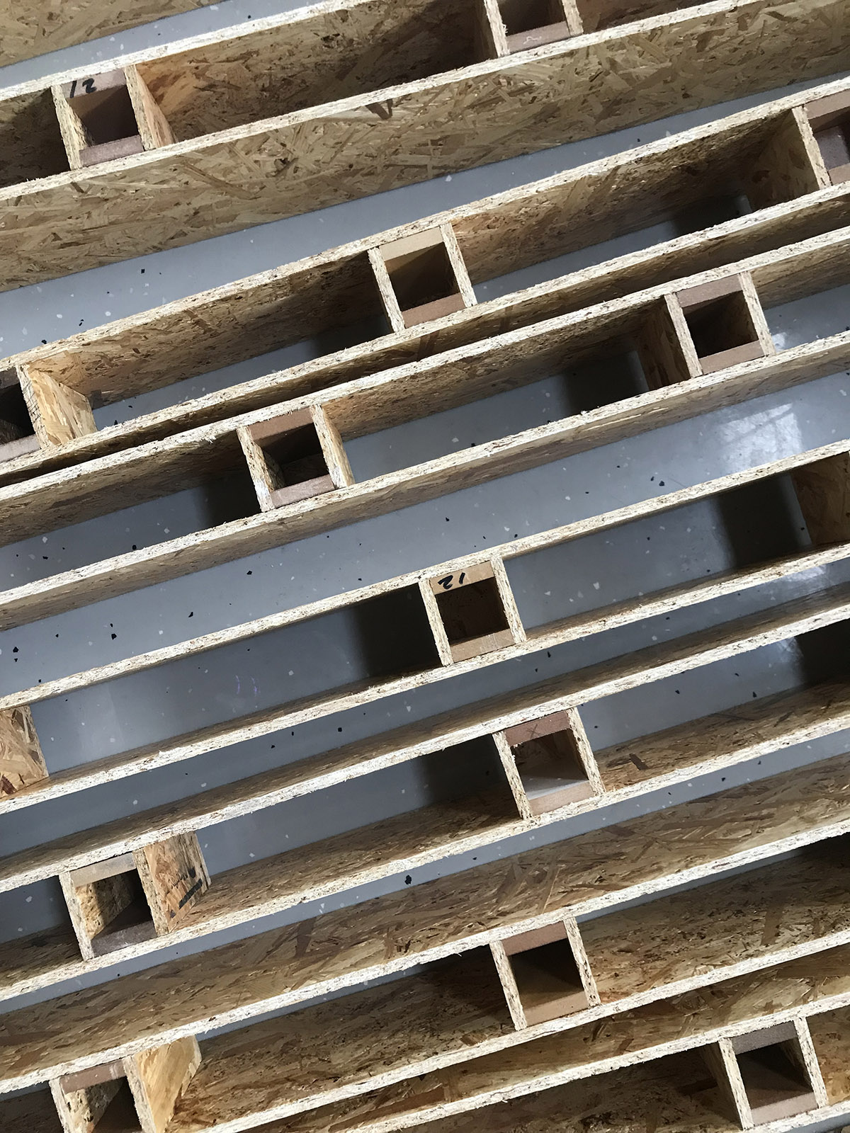 ī����Leonali�칫¥���Ͻ�����ѭ��������