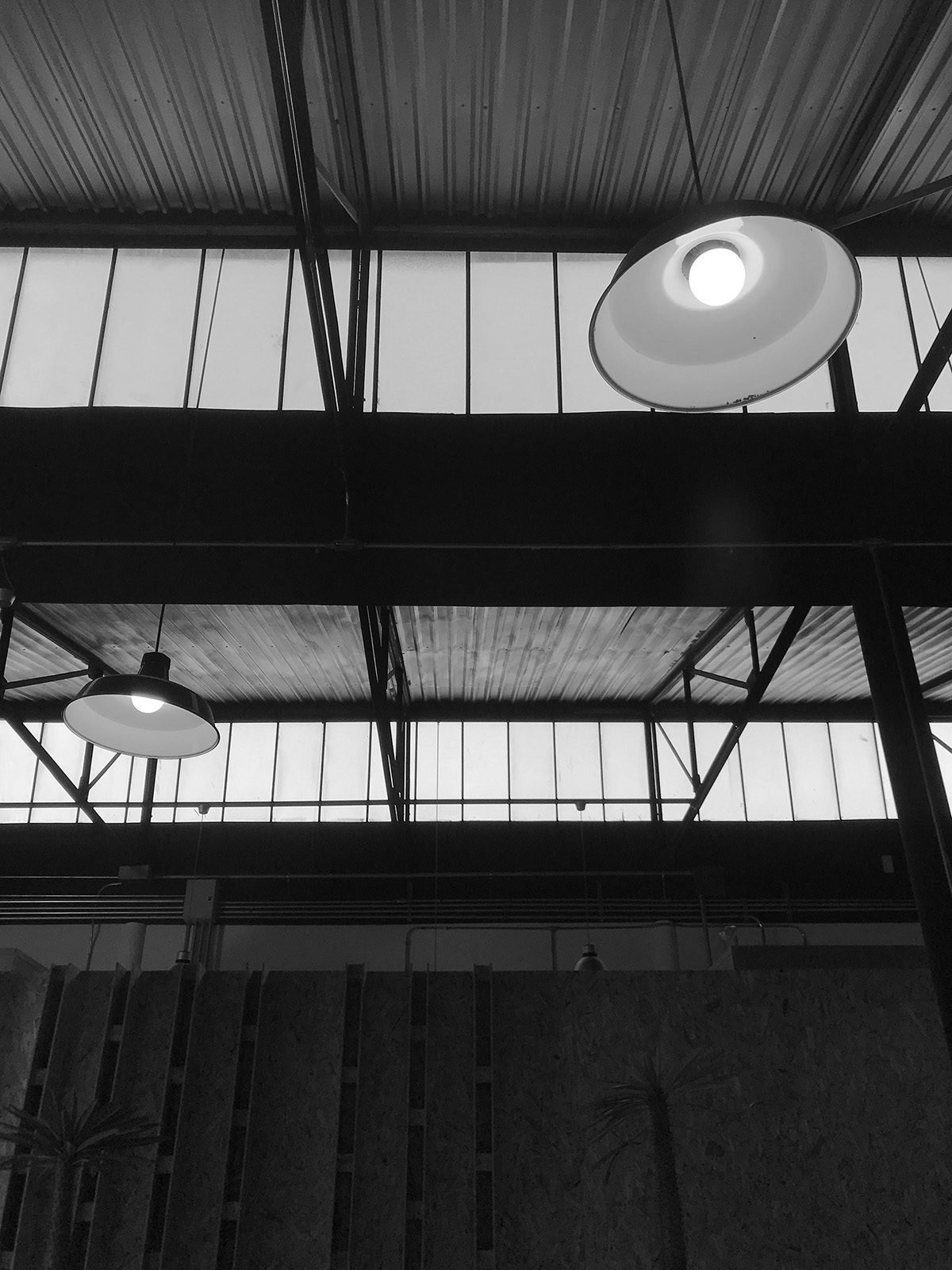 ī����Leonali�칫¥���Ͻ�����ѭ��������