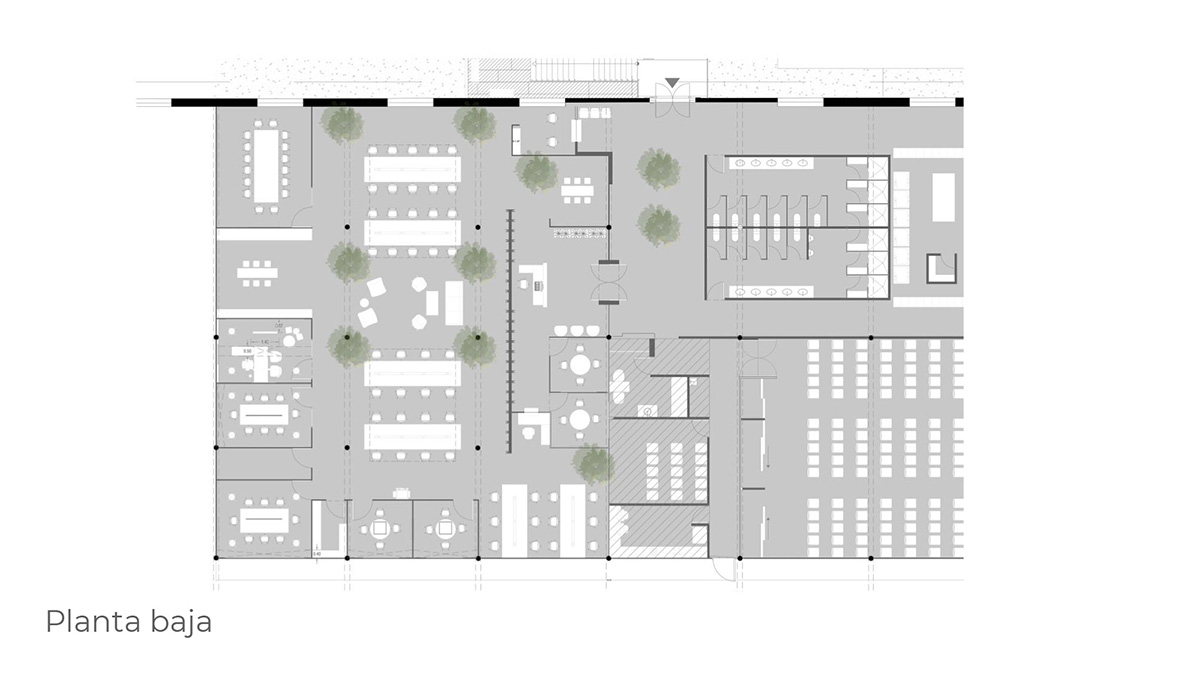 ī����Leonali�칫¥���Ͻ�����ѭ��������