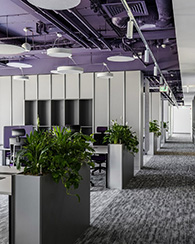 �����������а칫 ���Ű칫��