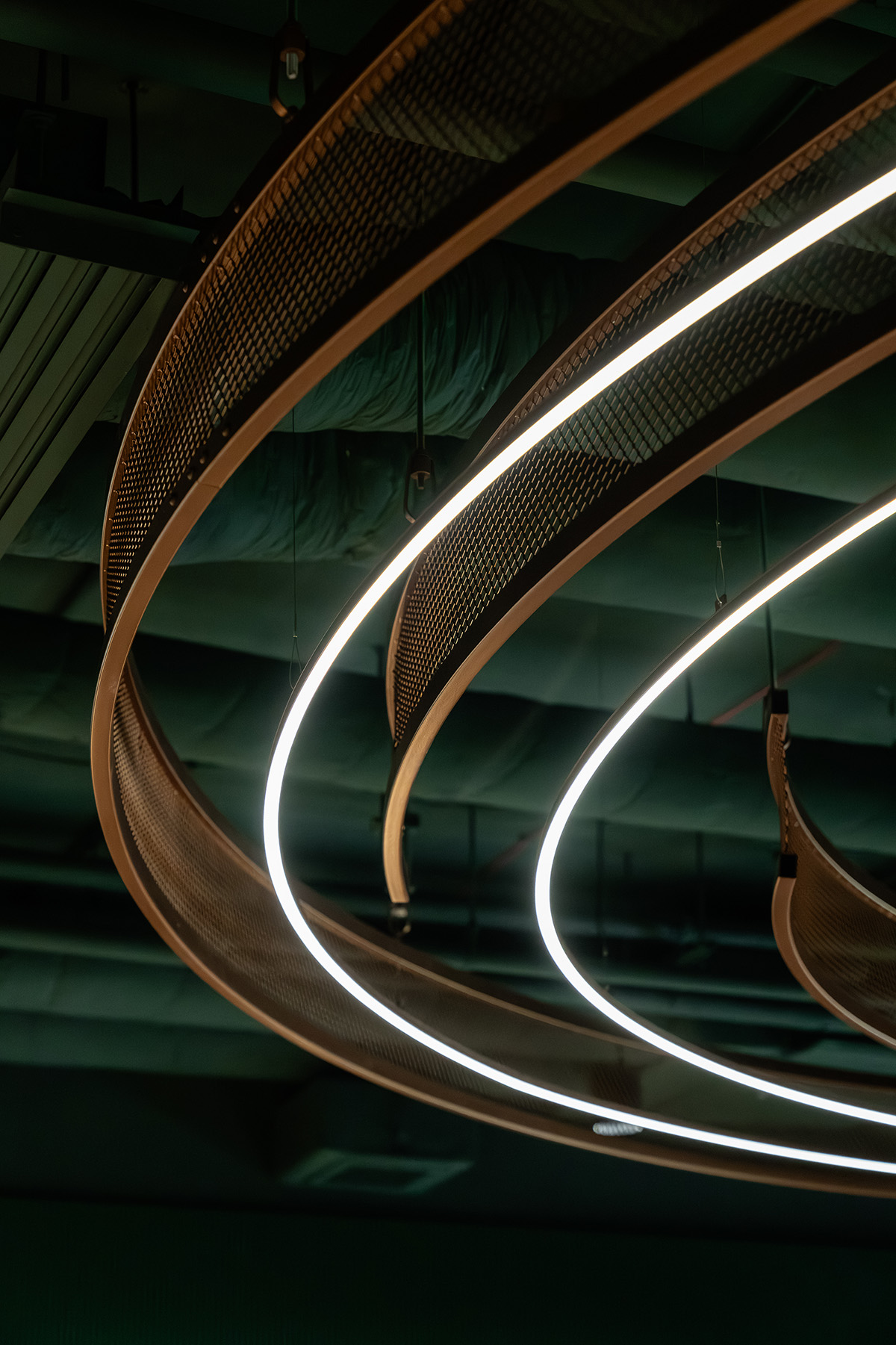 ծ����չ�˾KRUK�����ܲ�������ɳ����ݽ��ĸ��Ͽռ�