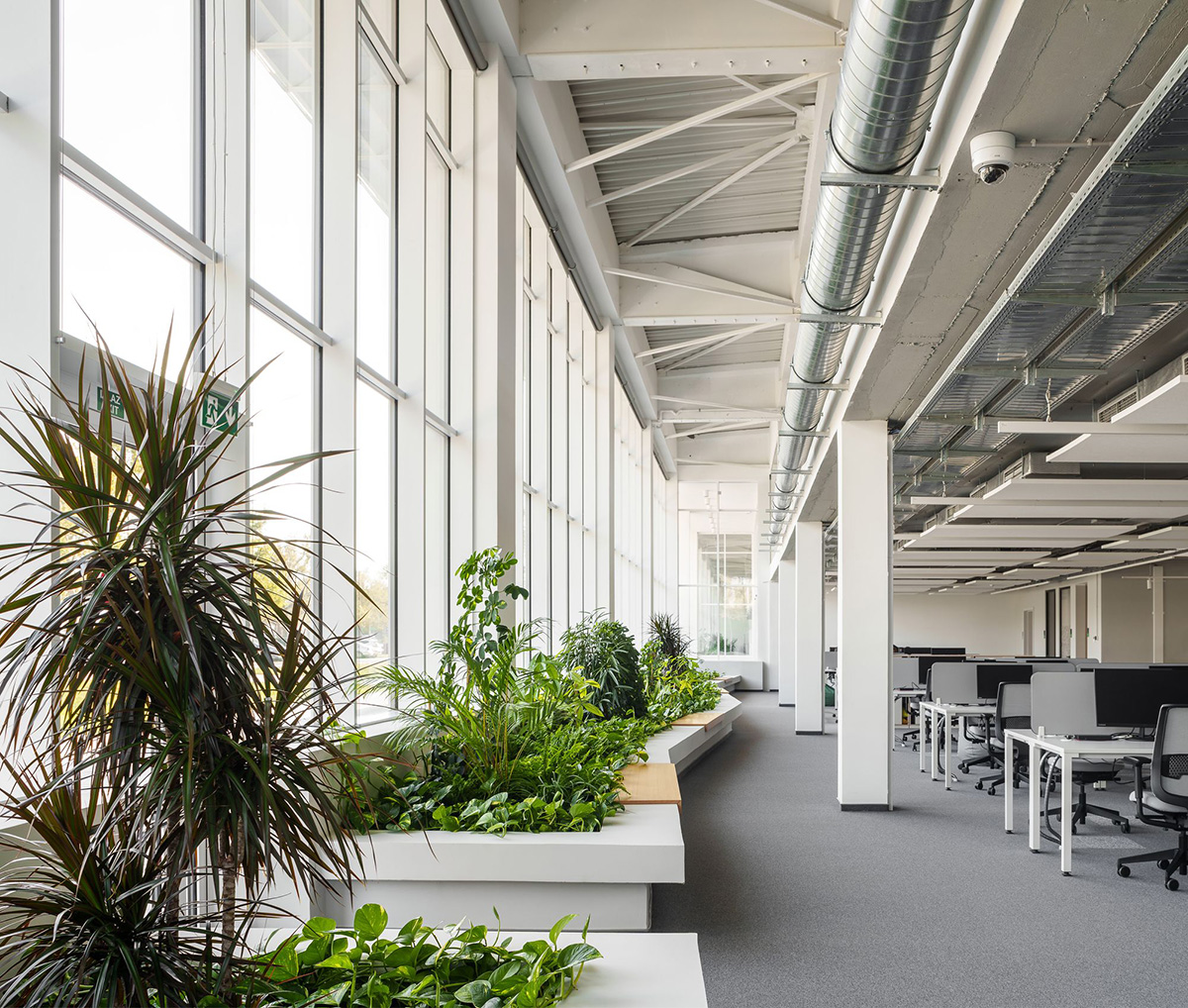 Schneiderʩ�͵µ������ģ��ɳ����������ҵ��