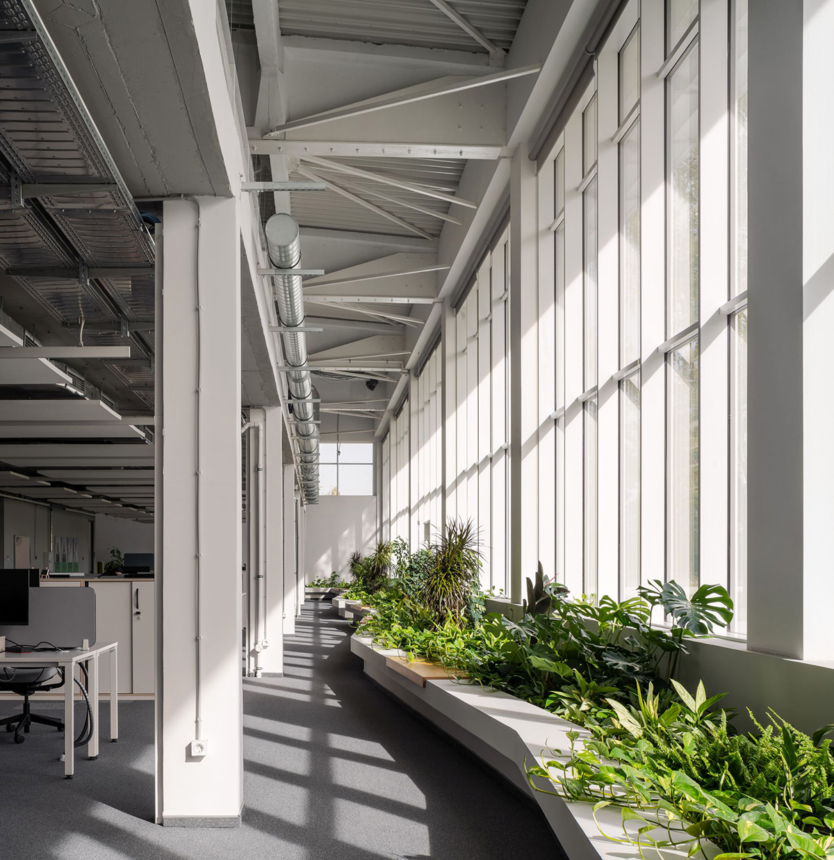 Schneiderʩ�͵µ������ģ��ɳ����������ҵ��