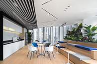 ��о΢Novosense���ڰ칫 ������