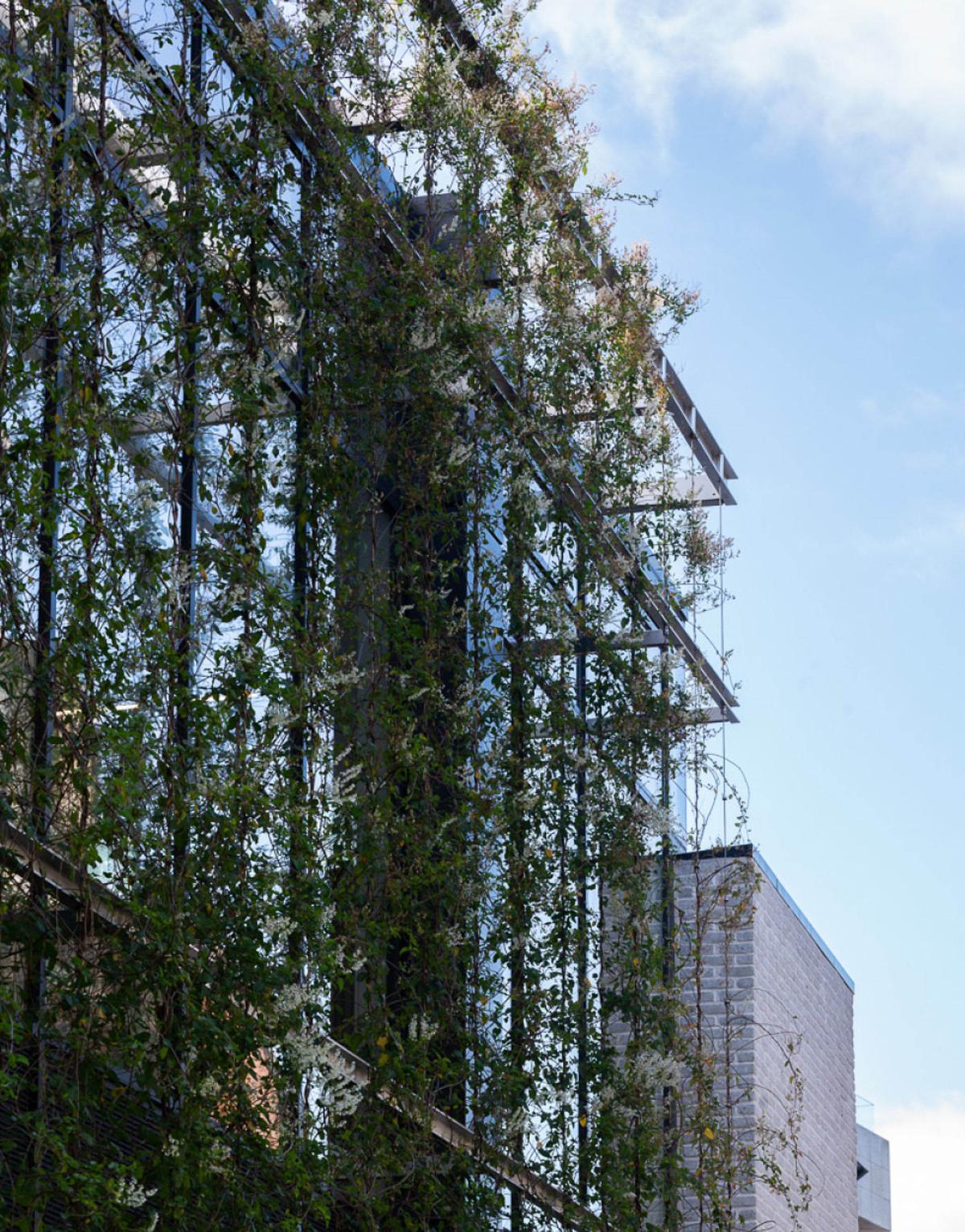 ������֤��������Ӱ���ܰ����е��