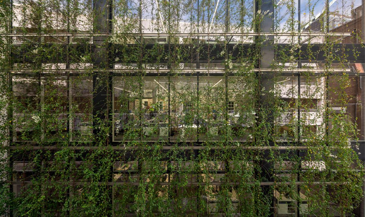 ������֤��������Ӱ���ܰ����е��