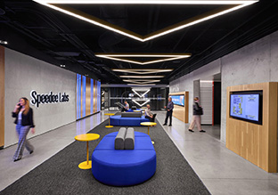 McDonald֥�Ӹ��ܲ�������������ʳ������