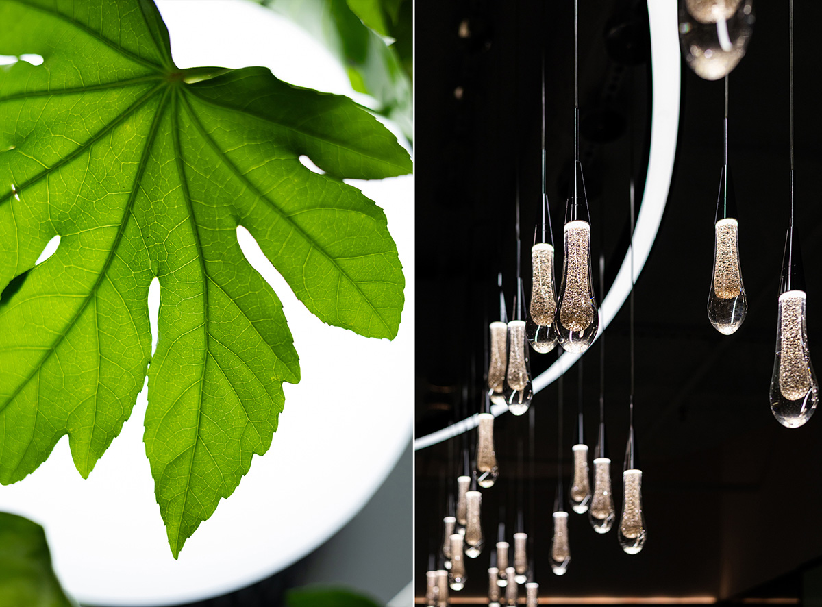 BASF�����칫�ң�����Ȼ����