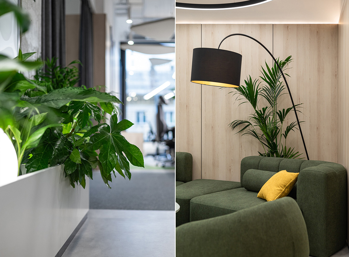 BASF�����칫�ң�����Ȼ����