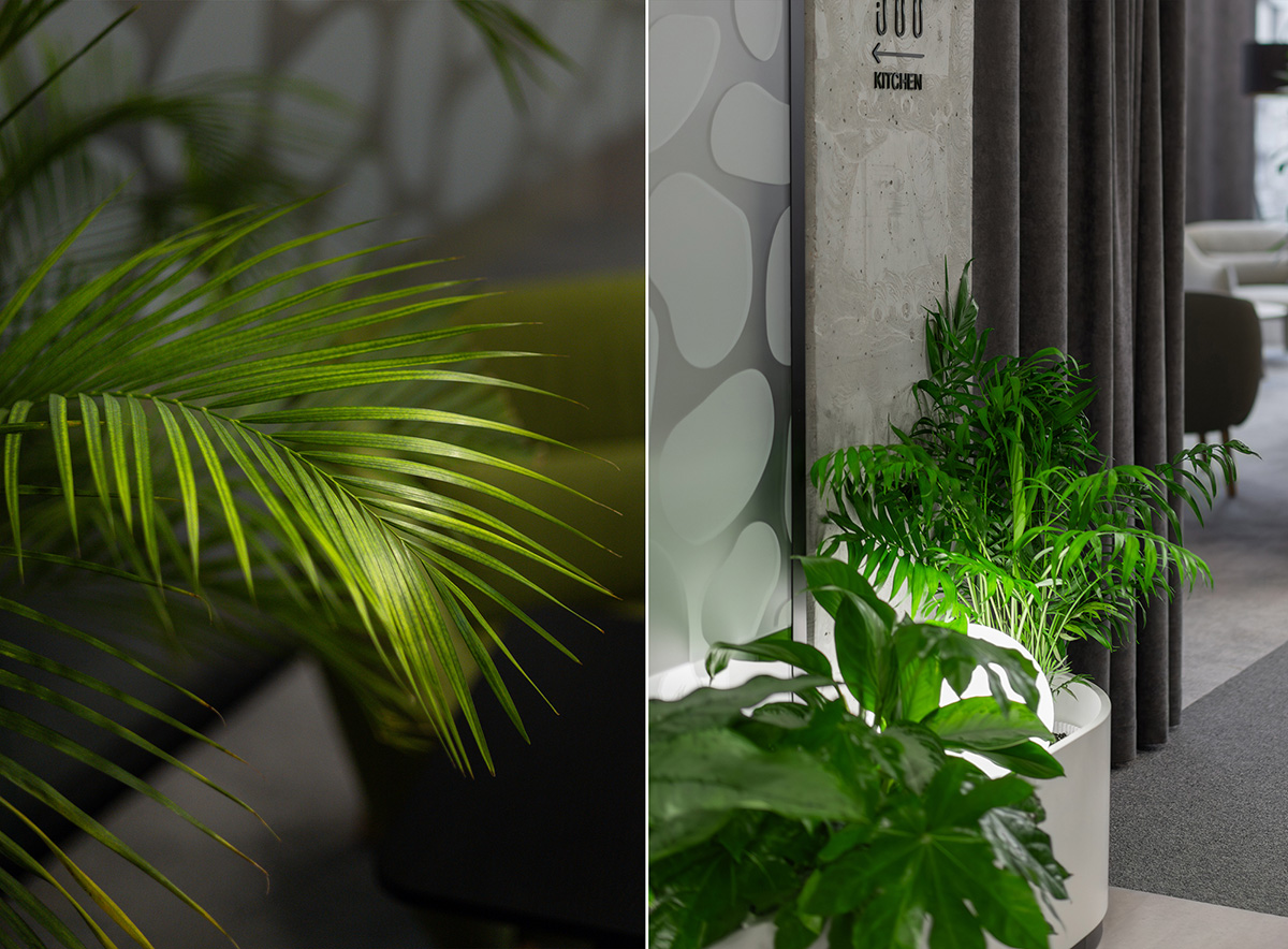 BASF�����칫�ң�����Ȼ����