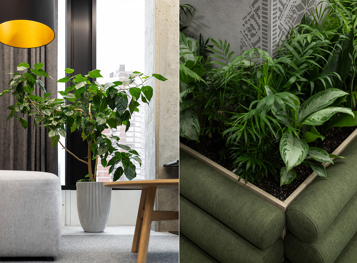 BASF�����칫�ң�����Ȼ����